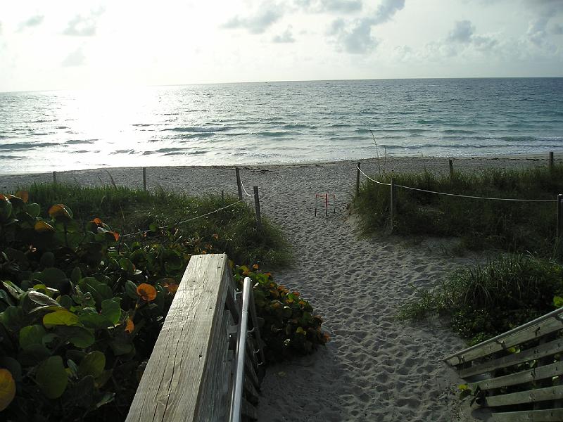 JTRG_FD08_Beach_View_2.jpg