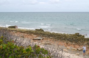 JTRG Field Day 2012 (103)