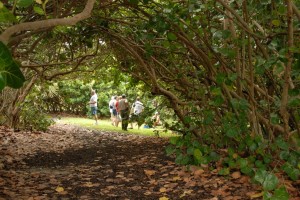 JTRG Field Day 2012 (66)