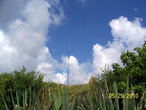 Peanut Island W4K 2010 (106)
